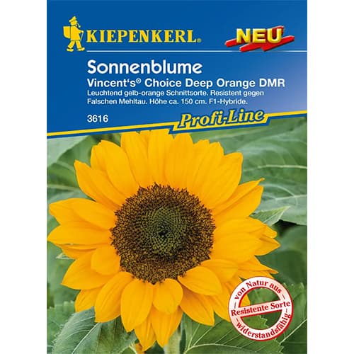 1 szt, Sonnenblume Vincent's Deep Orange DMR, F1 - Samen: Ilość w opakowaniu: 1 Stück