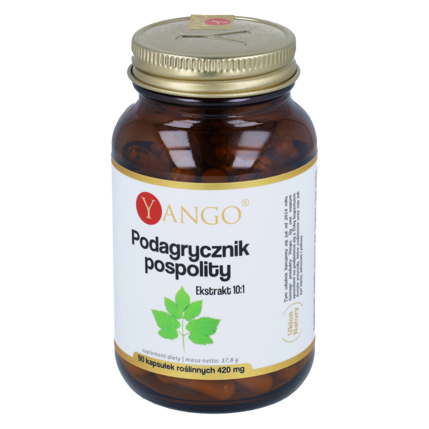 Yango podagrycznik pospolity, 90 kapsułek