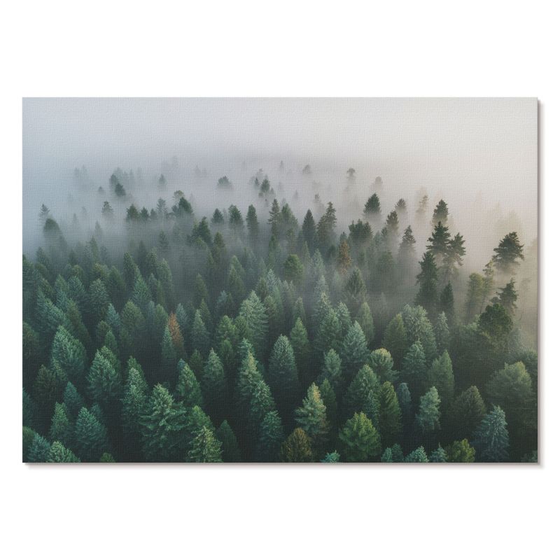 Plakat na Płótnie Tulup 42x29,7 cm (A3) Tajemniczy las Do salonu, sypialni, biura 1 szt.
