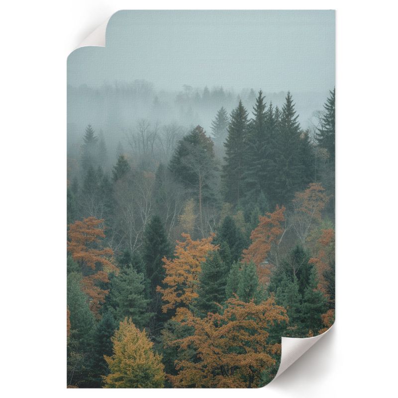 Plakat Do Kuchni ArtPrintCave 21x29,7 cm Mglisty las digitalPhoto 1 szt.