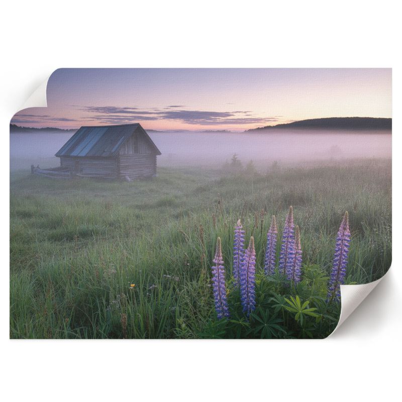 Grafika Na Ścianę ArtPrintCave 42x29,7 cm Mgielny poranek Ivaa 1 szt.