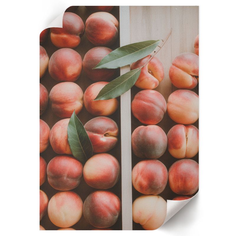 Plakat Premium ArtPrintCave 21x29,7 cm Soczyste brzoskwinie Mila "Nova" Klein 1 szt.