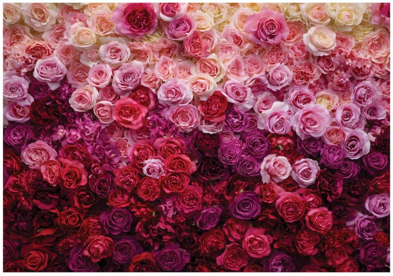 Fototapeta WALLARENA Do Sypialni Salonu Na Flizelinie Kwiaty Róże Romantyczna 300x210 cm Tapeta Ścienna 1 szt.