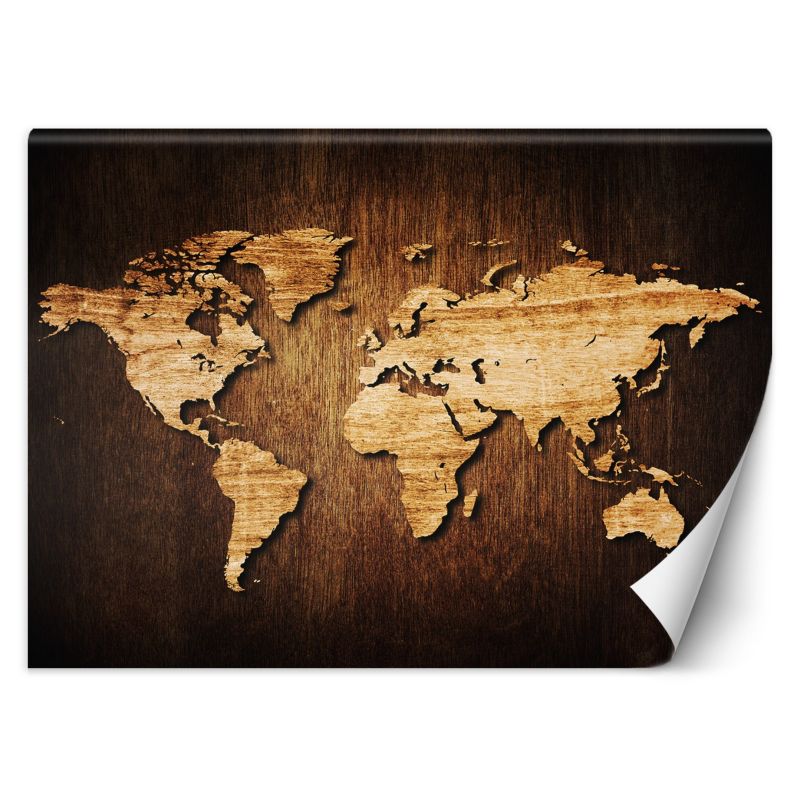 Fototapeta Feeby Mapa świata na drewnie 254x184 1 szt