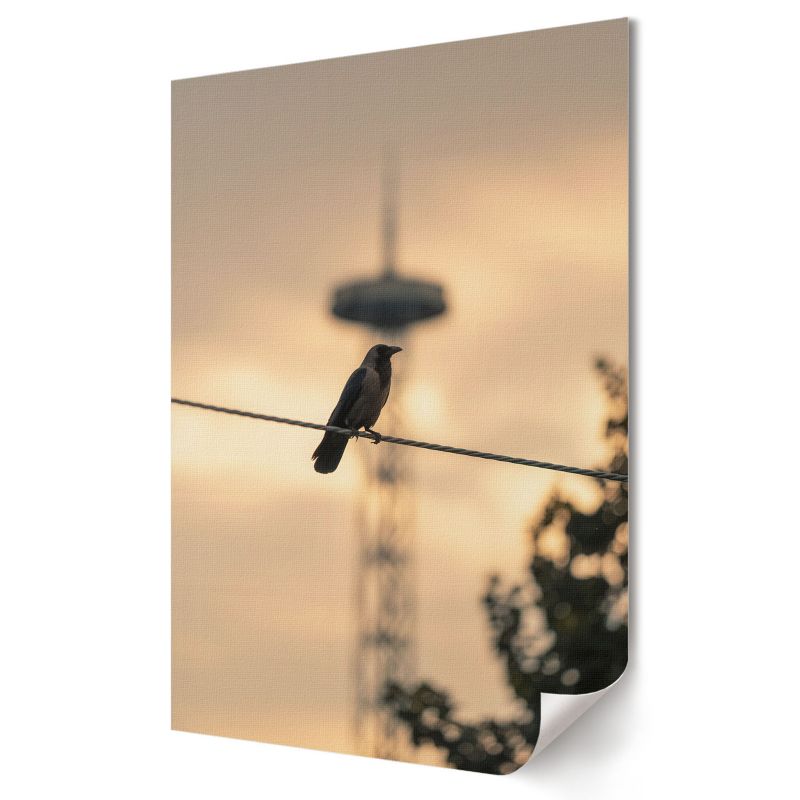 Plakat canvas Wallfluent Format A3 Ptak na kablu Artysta Sage 1 szt.