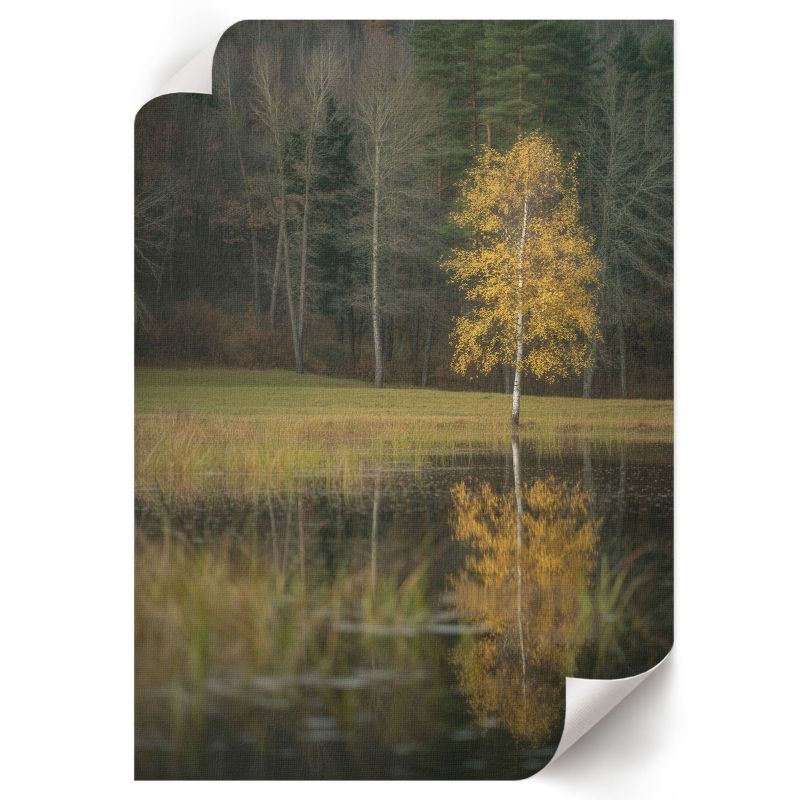Plakat ArtPrintCave 59,5x84 cm Jesienny pejzaż TrueArt 1 szt.