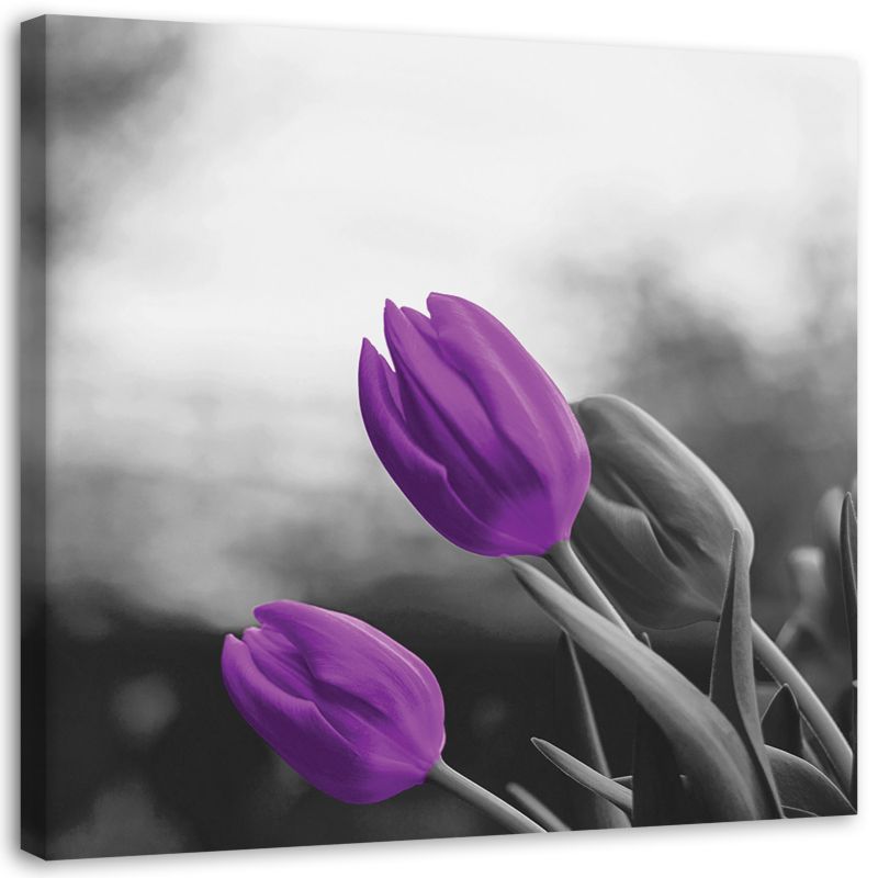Obraz Feeby Fioletowe tulipany kwiaty natura 30x30cm 1szt