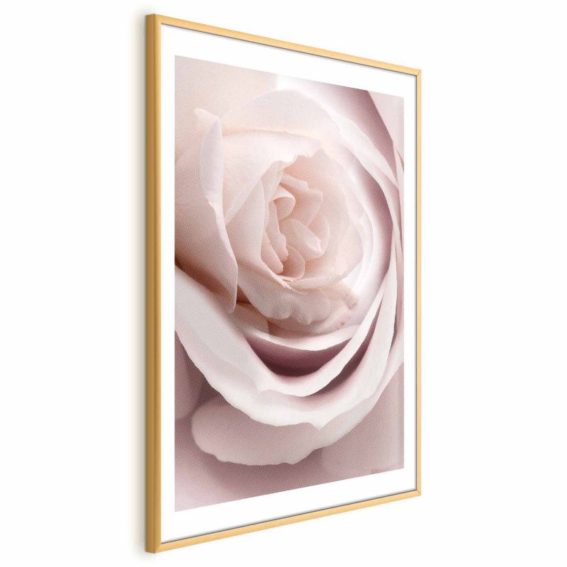 Plakat Artgeist Porcelanowa róża 29,7x42 cm z ramą złotą 1 szt