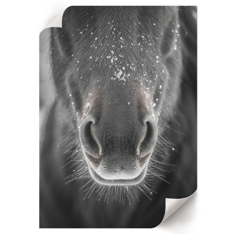 Plakat Ścienny ArtPrintCave 29,7x42 cm Koń i śnieg Sage 1 szt.
