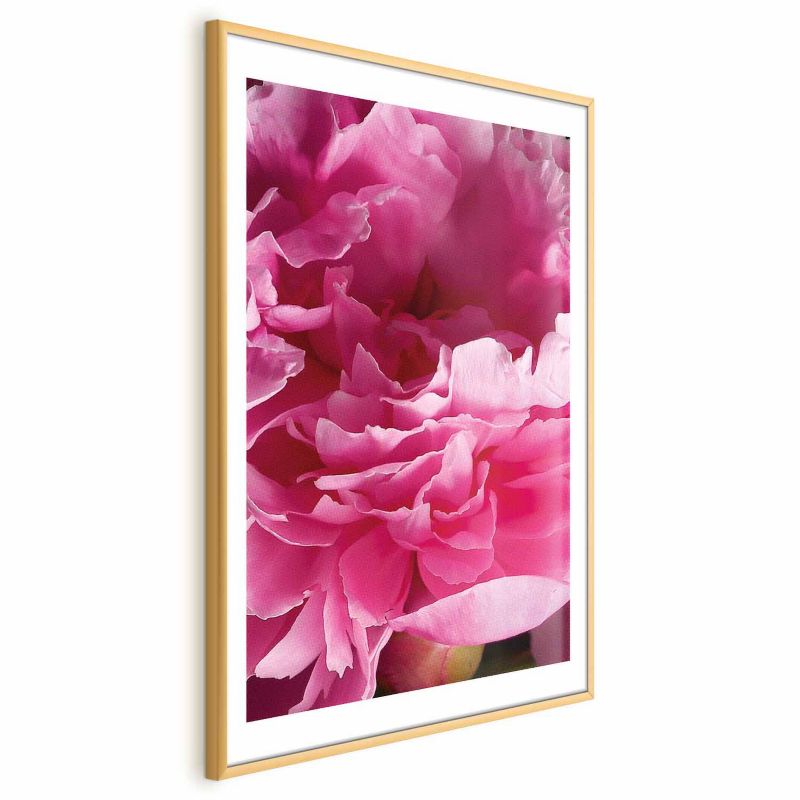 Plakat Artgeist Piękne piwonie 21x30 cm z ramą złotą 1 szt
