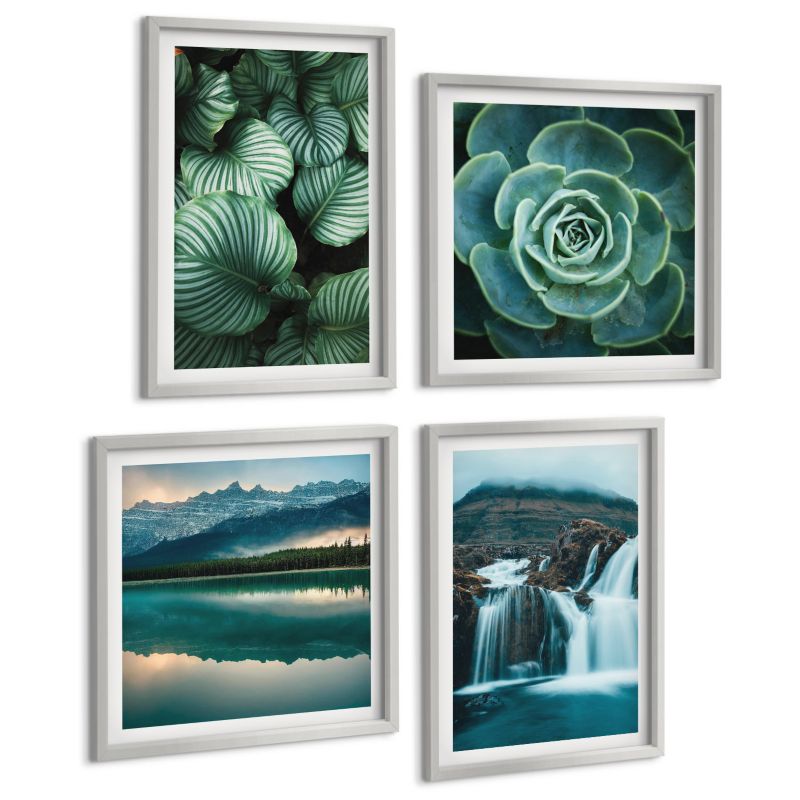 Galeria 4 Obrazów ArtPrintCave (2x50x50+2x40x60cm) Srebrna rama Zbliżenia roślin liście sukulenty 1 kpl.