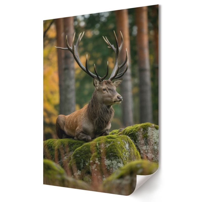 Plakat Wallfluent Format A3 Dostojny jeleń Artysta ArTi 1 szt.
