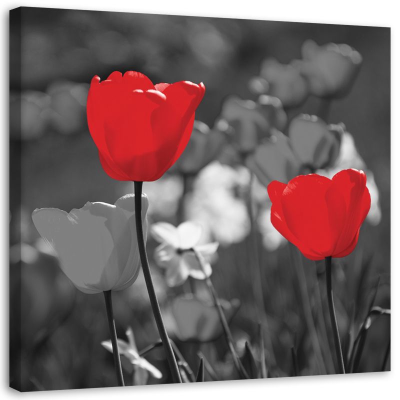 Obraz na płótnie Feeby Czerwone tulipany na szarym tle 60x60cm 1szt