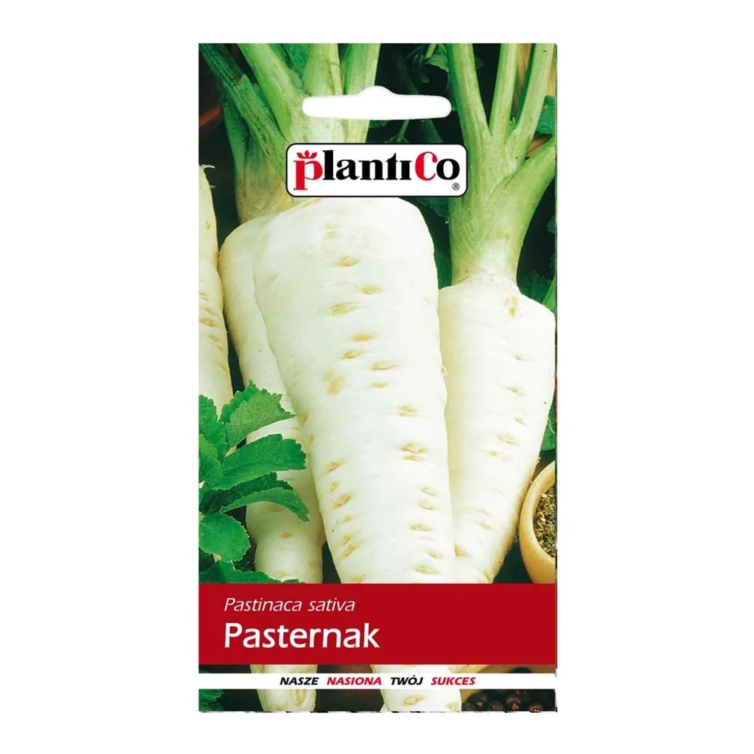 Pasternak