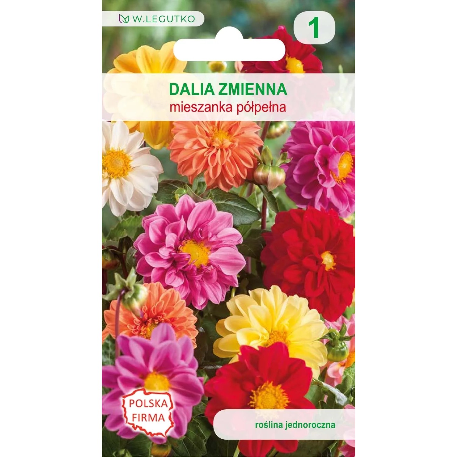 Dalia ogrodowa mieszanka - 0,5 g