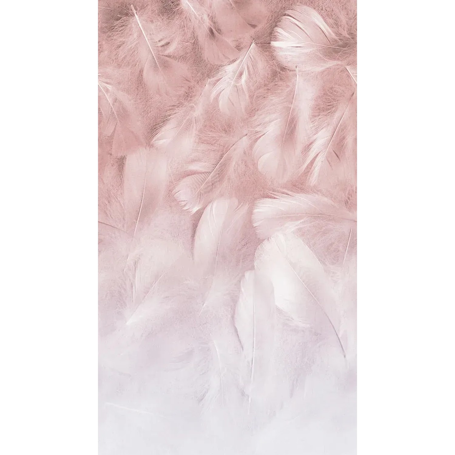Tapeta panoramiczna winylowa na flizelinie FEATHERS 159 x 280 cm
