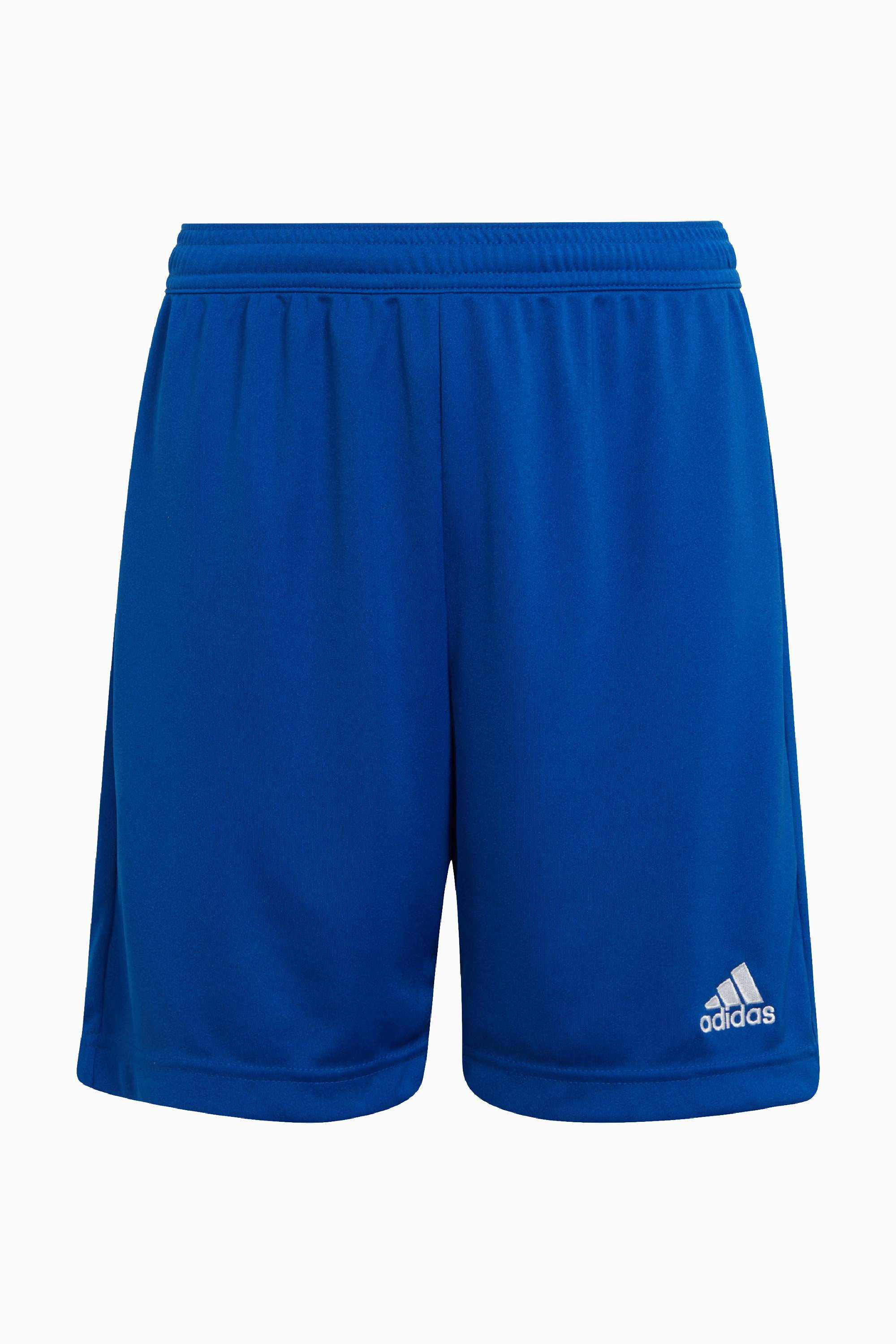 Spodenki adidas FC Wrocław Academy 23/24 - Niebieski