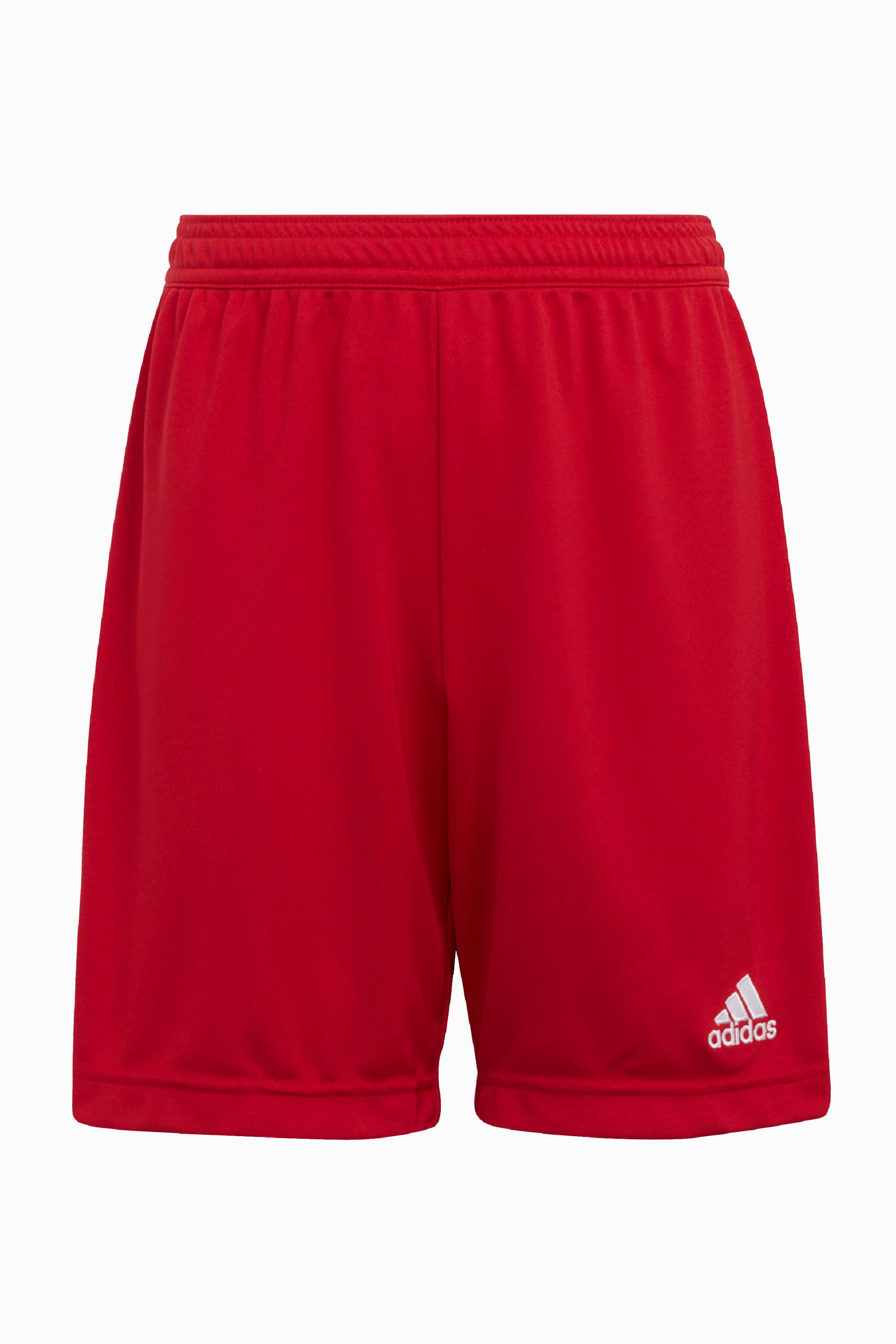 Spodenki adidas FC Wrocław Academy 23/24 Junior - Czerwony