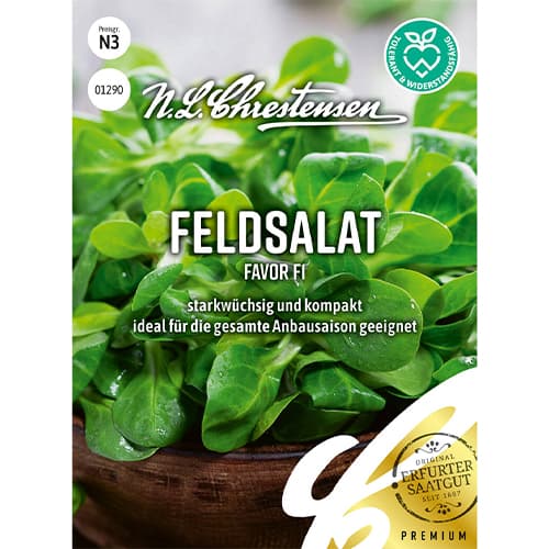 1 szt, Saláta Favor F1 - Magok: Mod de ambalare: 1 db