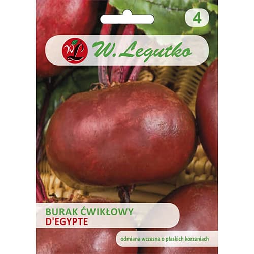 1 szt, Rote Rübe D'Egypte - Samen: Ilość w opakowaniu: 10 g