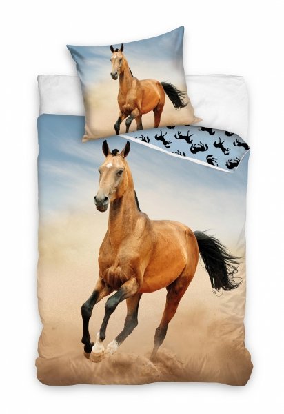 Pościel młodzieżowa 100% bawełna 160x200 - NL214013