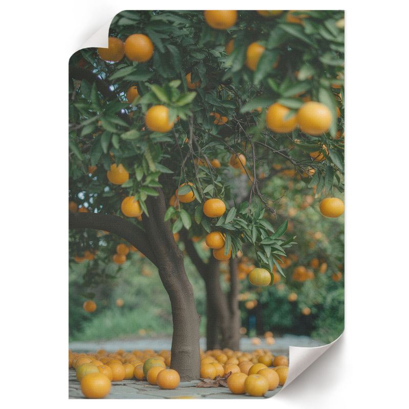Plakat Do Łazienki ArtPrintCave 29,7x42 cm Pomarańczowy sad Art-on 1 szt.