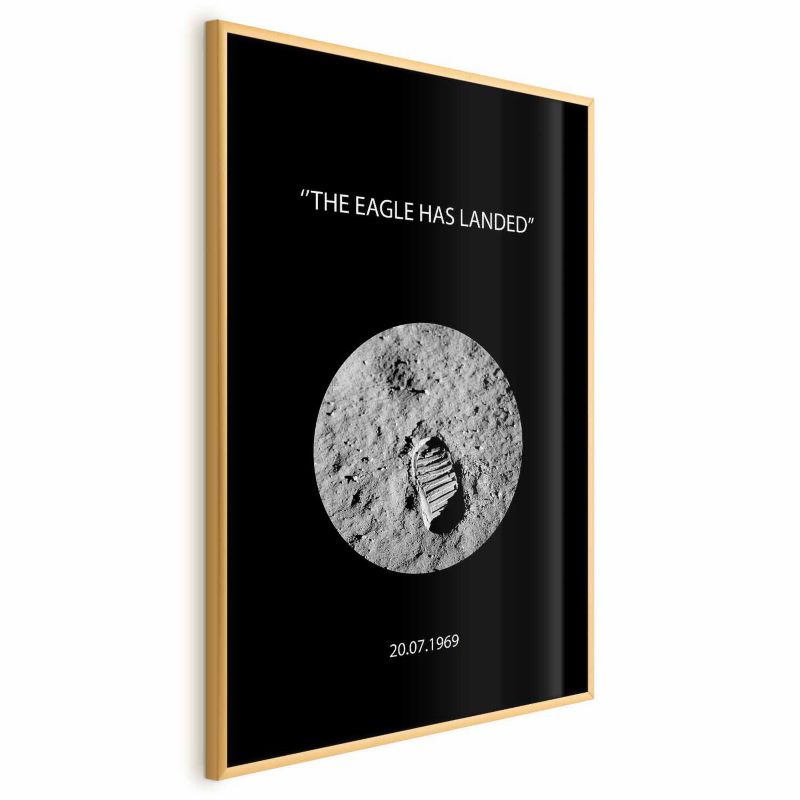 Plakat Artgeist The Eagle 60x90 cm z ramą złotą 1 szt