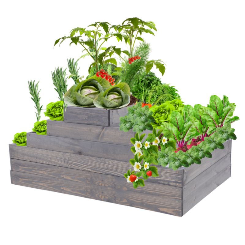 Grządka warzywna MODO24 regulowana inspekt 54x117x100 cm szare impregnowane drewno 1 szt