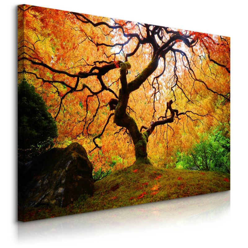 Obraz Muralo Na Płótnie Jesienne Drzewo Natura Dekoracja Do Salonu 30x20 cm 1 szt.