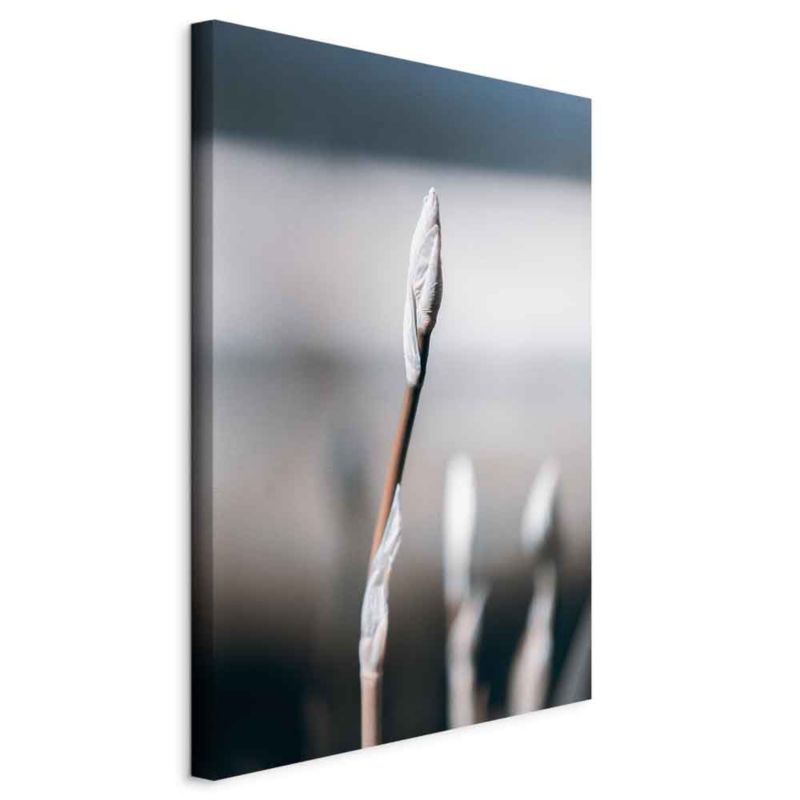Obraz Artgeist Botaniczny minimalizm 40 x 60 cm płótno włoskie 1 szt