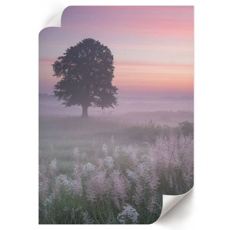 Plakat ArtPrintCave 42x59,5 cm Drzewo na łące Nevara 1 szt.