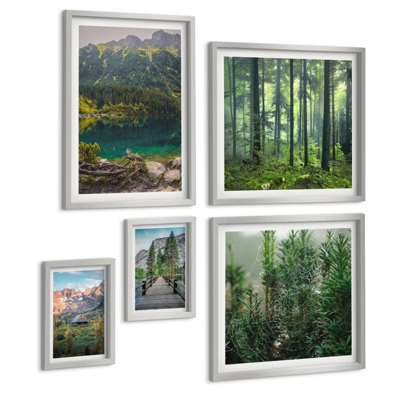 Komplet 5 Obrazów ArtPrintCave (2x50x50+2x20x30+40x60cm) Srebrna rama Minimalistyczne rysunki roślin 1 kpl.