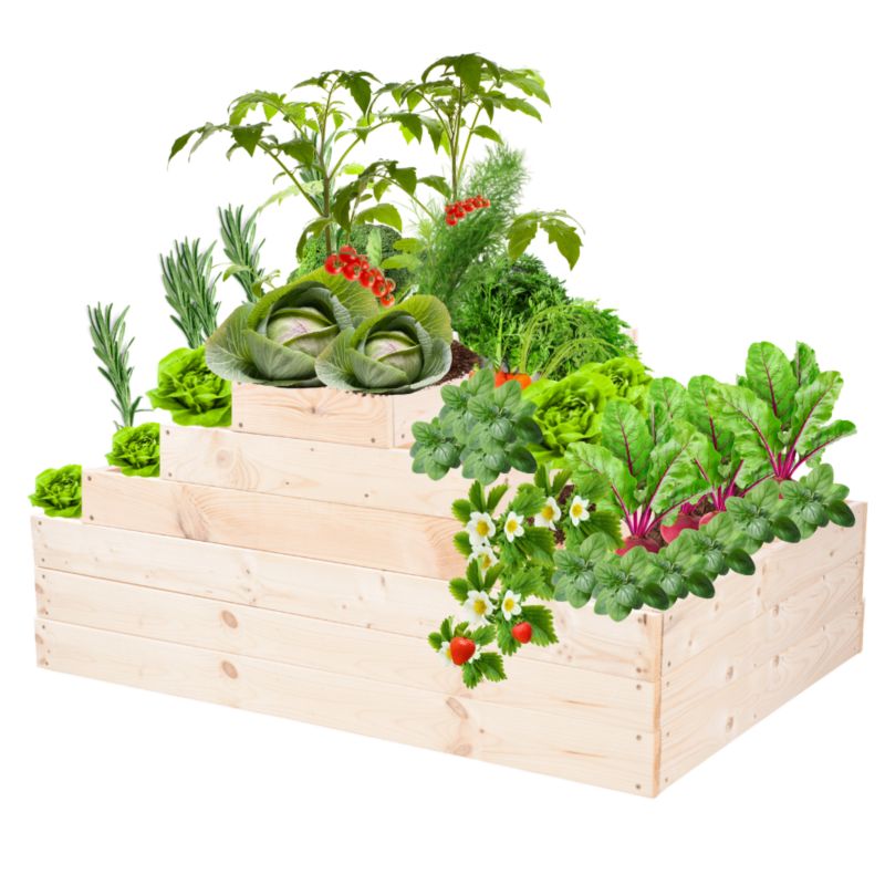 Grządka warzywna MODO24 regulowana inspekt 54x117x120 cm naturalne drewno 1 szt