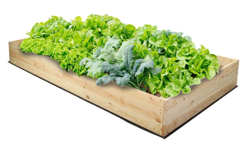 Warzywniak MODO24 grządka naturalne drewno 27x203x100 cm 1 szt.