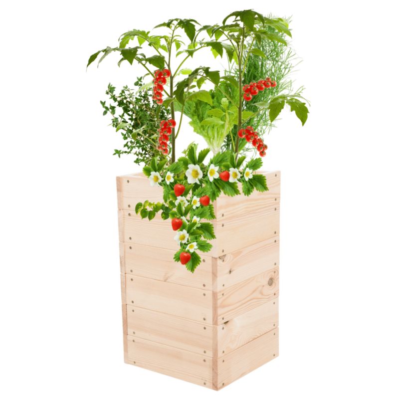 Grządka MODO24 warzywnik naturalne drewno 54x33x30 cm 1 szt.