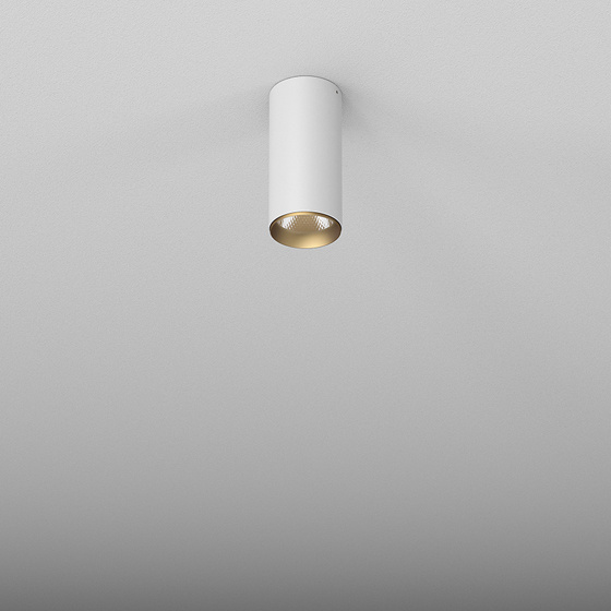Aqform Pet lampa podsufitowa 1x8,5 W biała-złota 46962-M940-WG-00-13