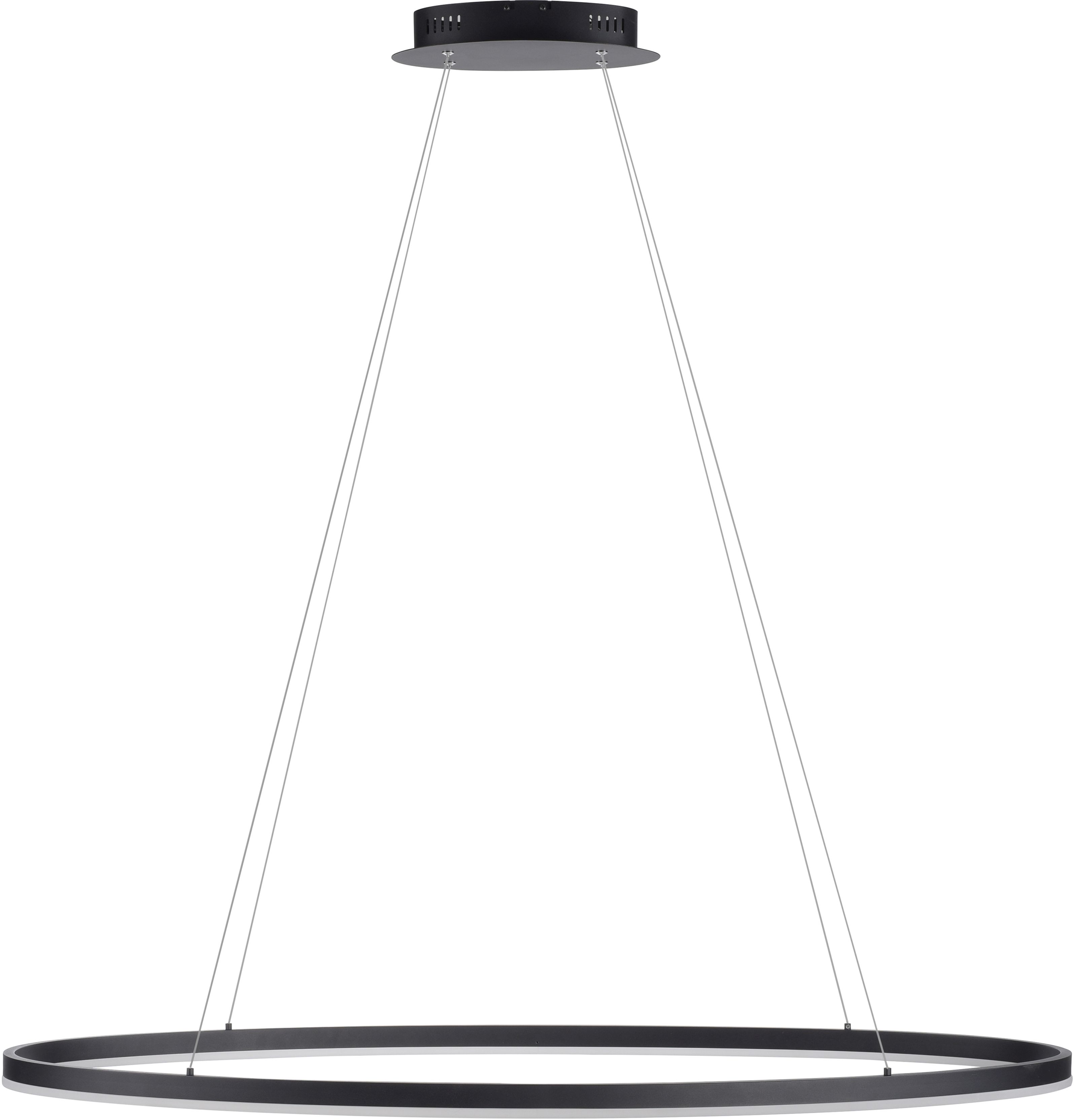 Paul Neuhaus Titus lampa wisząca 1x57,5W antracytowy 2393-13