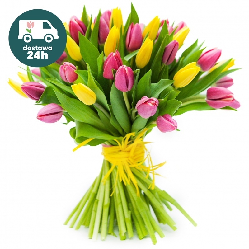 Tulipany różowo-żółte od 25 do 75 sztuk
