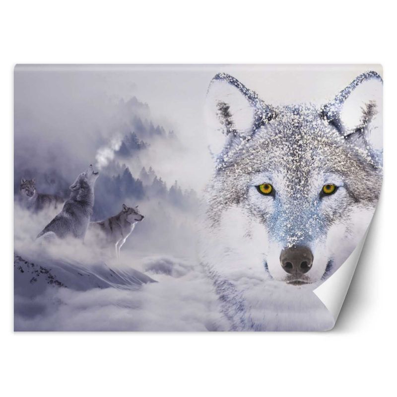 Fototapeta Feeby Wilki zima las we mgle 100x70 1 szt