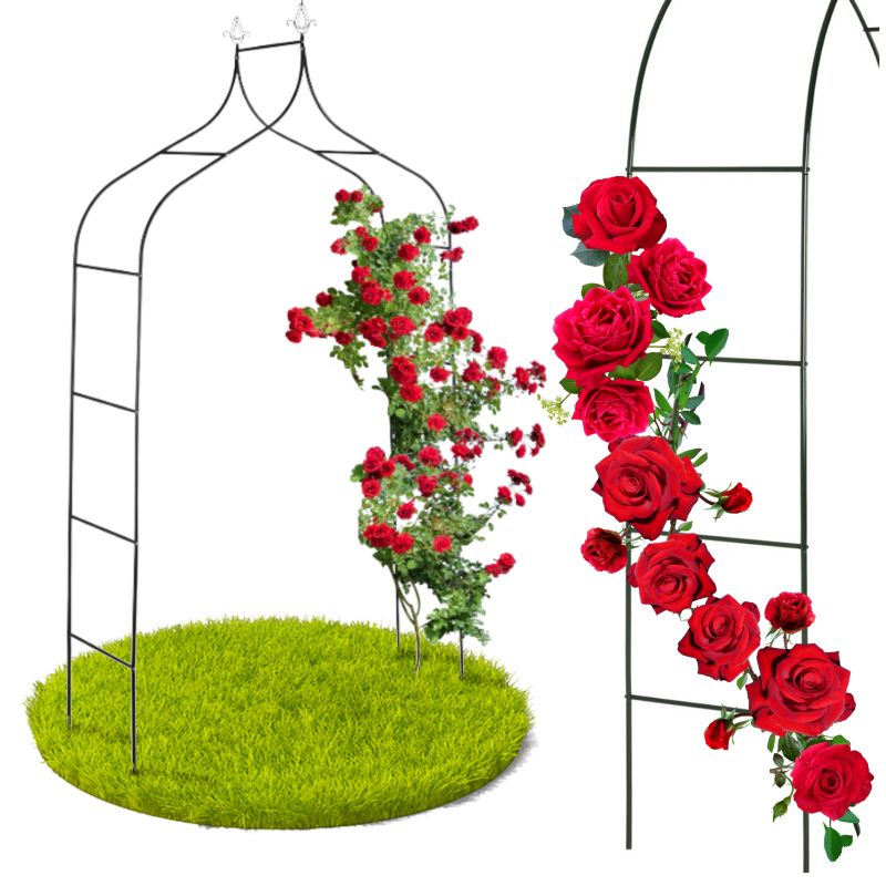 Pergola Ogrodowa Gogarden Metalowa Łukowa Do Pnączy I Róż Czarna 255 Cm 1 Szt.