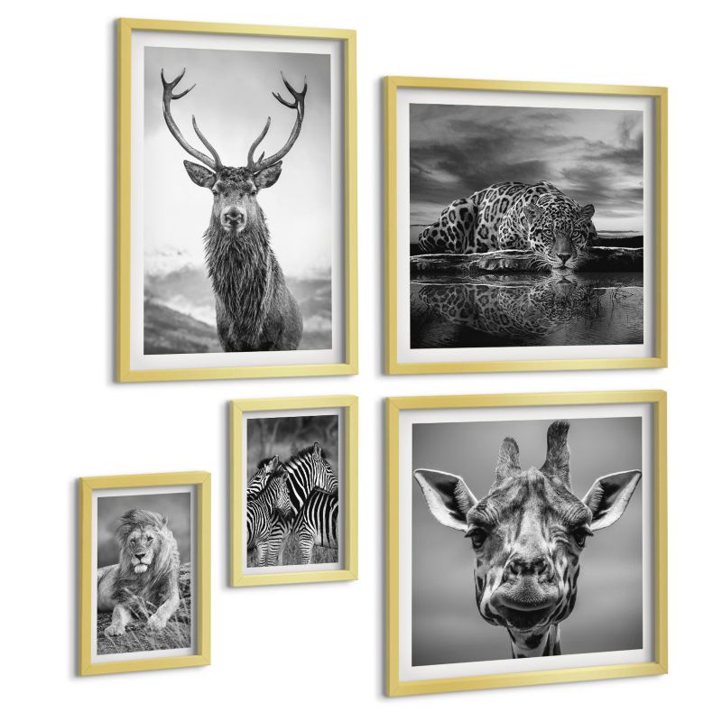 Pięcioczęściowy Zestaw Obrazów ArtPrintCave (2x50x50+2x20x30+40x60cm) Złota rama Dzikie Zwierzęta 1 kpl.