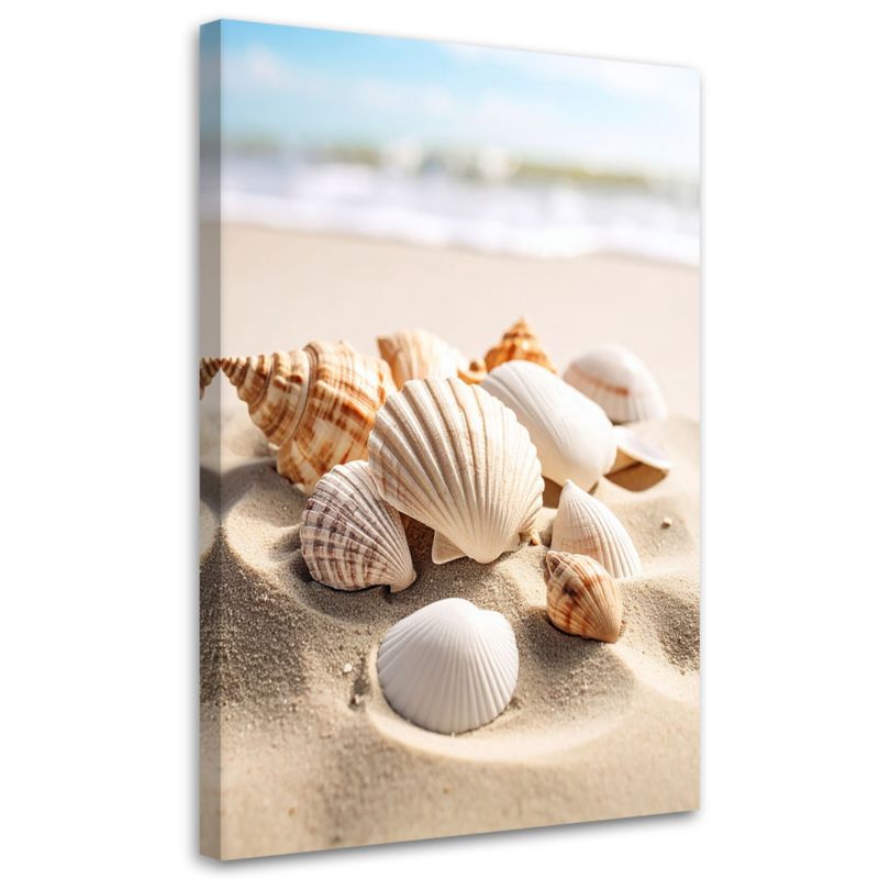 Obraz do salonu kuchni biura Feeby Muszle plaża natura beżowy 60x90cm 1szt
