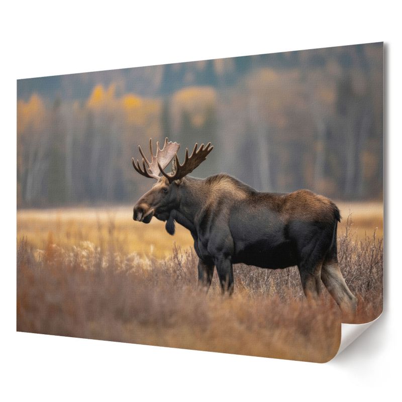 Plakat na ścianę Wallfluent Format A4 Jesienny łoś Artysta Ivara 1 szt.