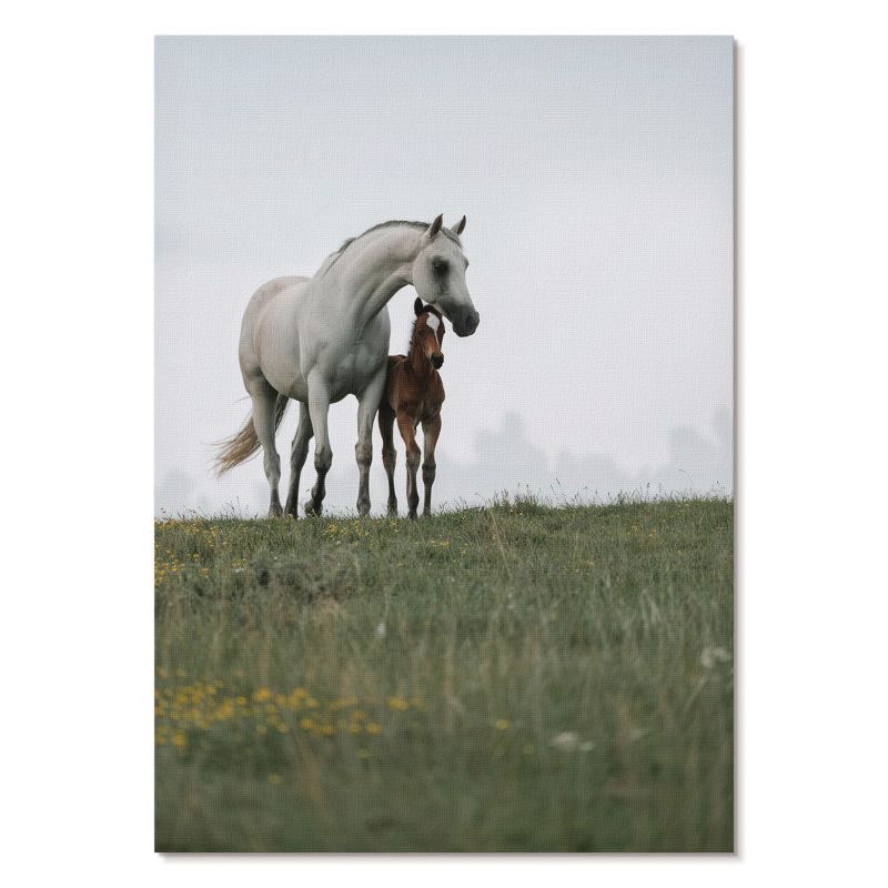 Nowoczesny Plakat na Płótnie Tulup 21x29,7 cm (A4) Konie na łące Do sypialni, salonu, biura 1 szt.