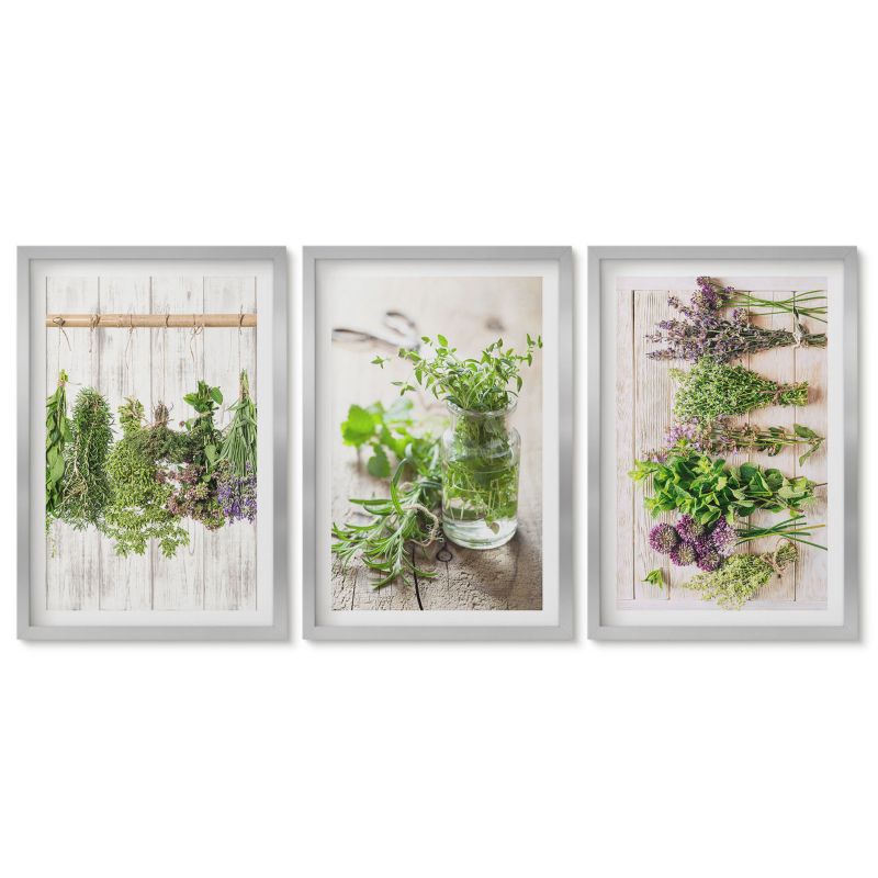 Obrazy w srebrnej ramie Tulup 40x60 cm Zioła rośliny do kuchni Tryptyk 1 kpl