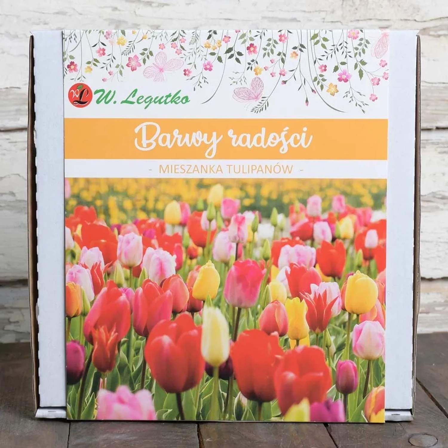 Tulipan Barwy Radości - 20 szt.