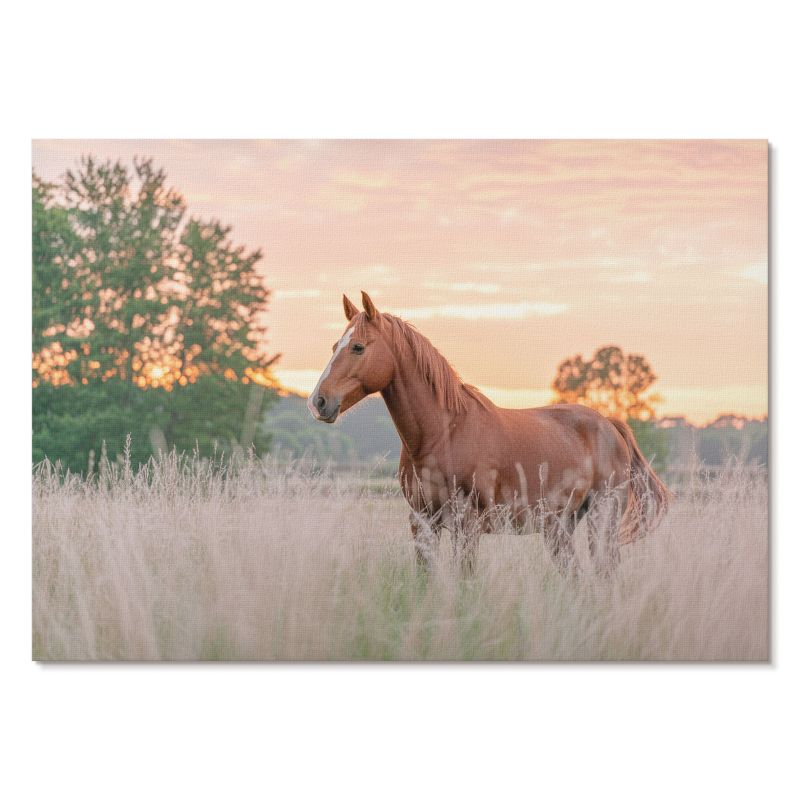 Plakat na Płótnie Tulup 59,4x42 cm (A2) Poranny spokój Do salonu, sypialni, biura 1 szt.