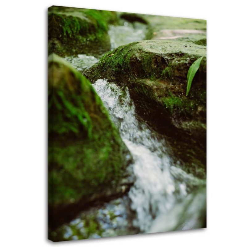 Obraz na płótnie Feeby Górski potok natura krajobraz 40x60cm 1szt