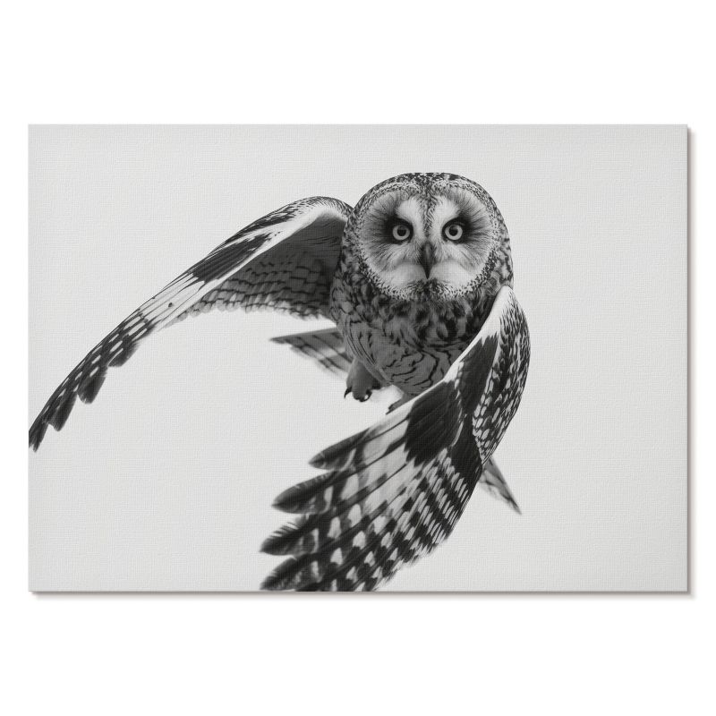 Obraz Plakat Canvas Tulup 29,7x21 cm (A4) Sowa w locie Do sypialni, biura, salonu 1 szt.