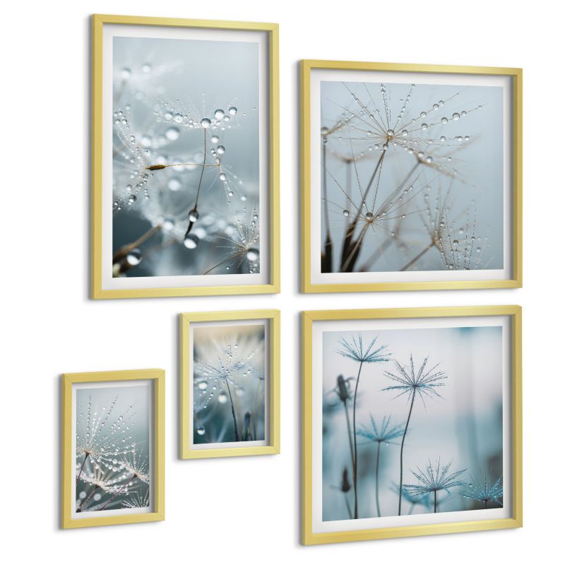 Zestaw 5 Obrazów ArtPrintCave (2x50x50+2x20x30+40x60cm) Złota rama Krople wody na pędach dmuchawców 1 kpl.